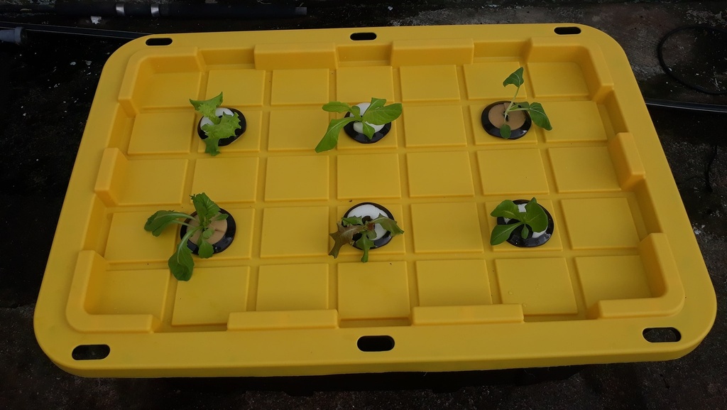 Box de plantation 6T grand