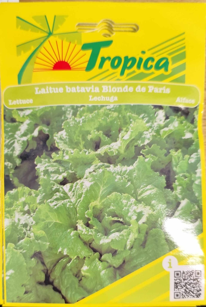 [[SEM 021]] SEMENCES LAITUE BATAVIA BLONDE DE PARIS