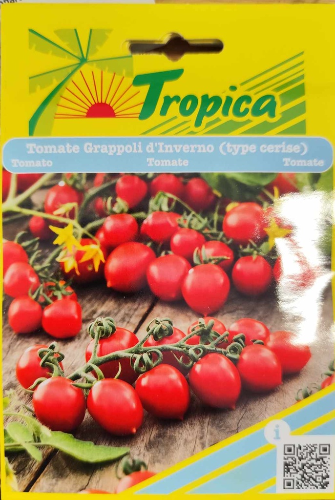 [SEM 149] SEMENCES TOMATE GRAPPOLI D'INVERNO