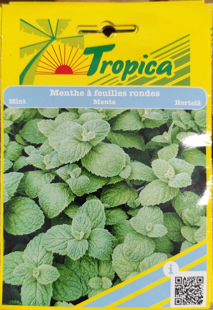 [[SEM152]] SEMENCES MENTHE A FEUILLES RONDES