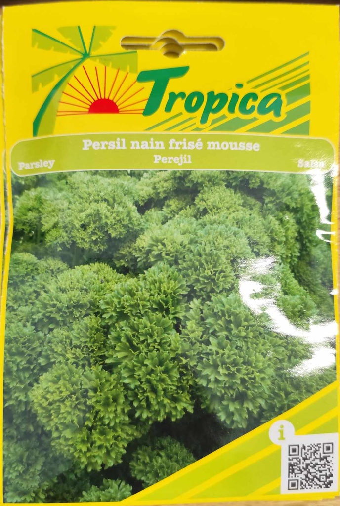 [[SEM 098]] SEMENCES PERSIL FRISEE MOUSSE