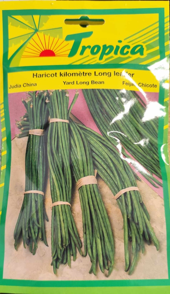 [[SEM 075]] SEMENCES HARICOT KILOMETRE LONG LEADER
