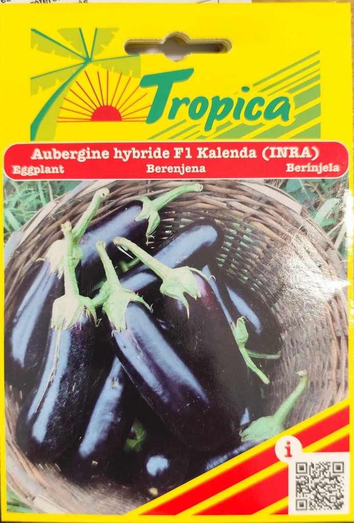 [[SEM 083]] SEMENCES AUBERGINE HYBRIDEF1 KALENDA