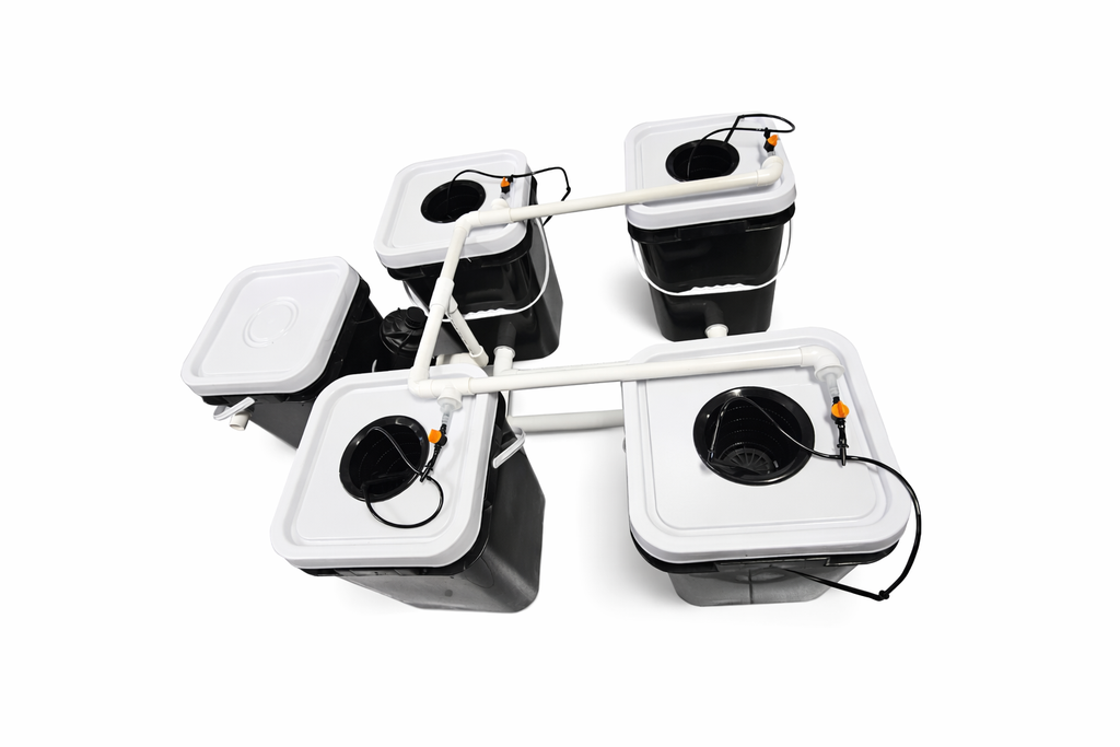 Kit hydroponique 4+1 Dutch Bucket