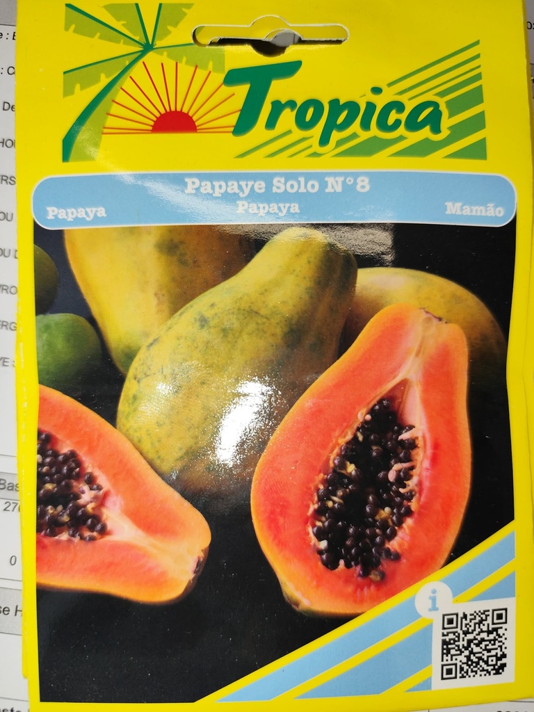 [[SEM 160]] SEMENCES PAPAYE SOLO N8 TROPICA