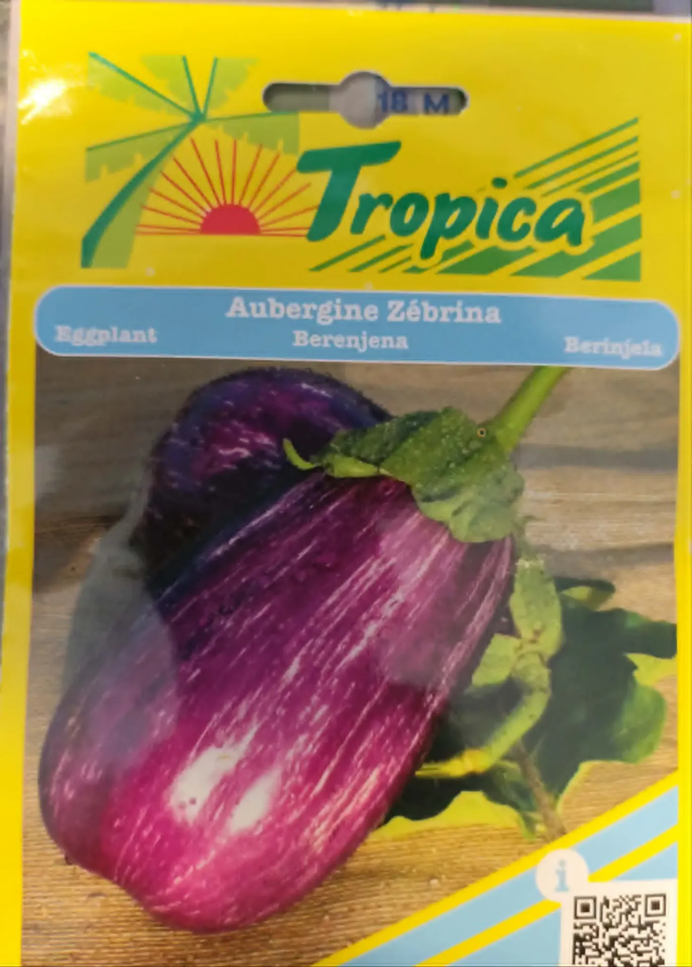 [[SEM 109]] SEMENCES AUBERGINE ZEBRINA