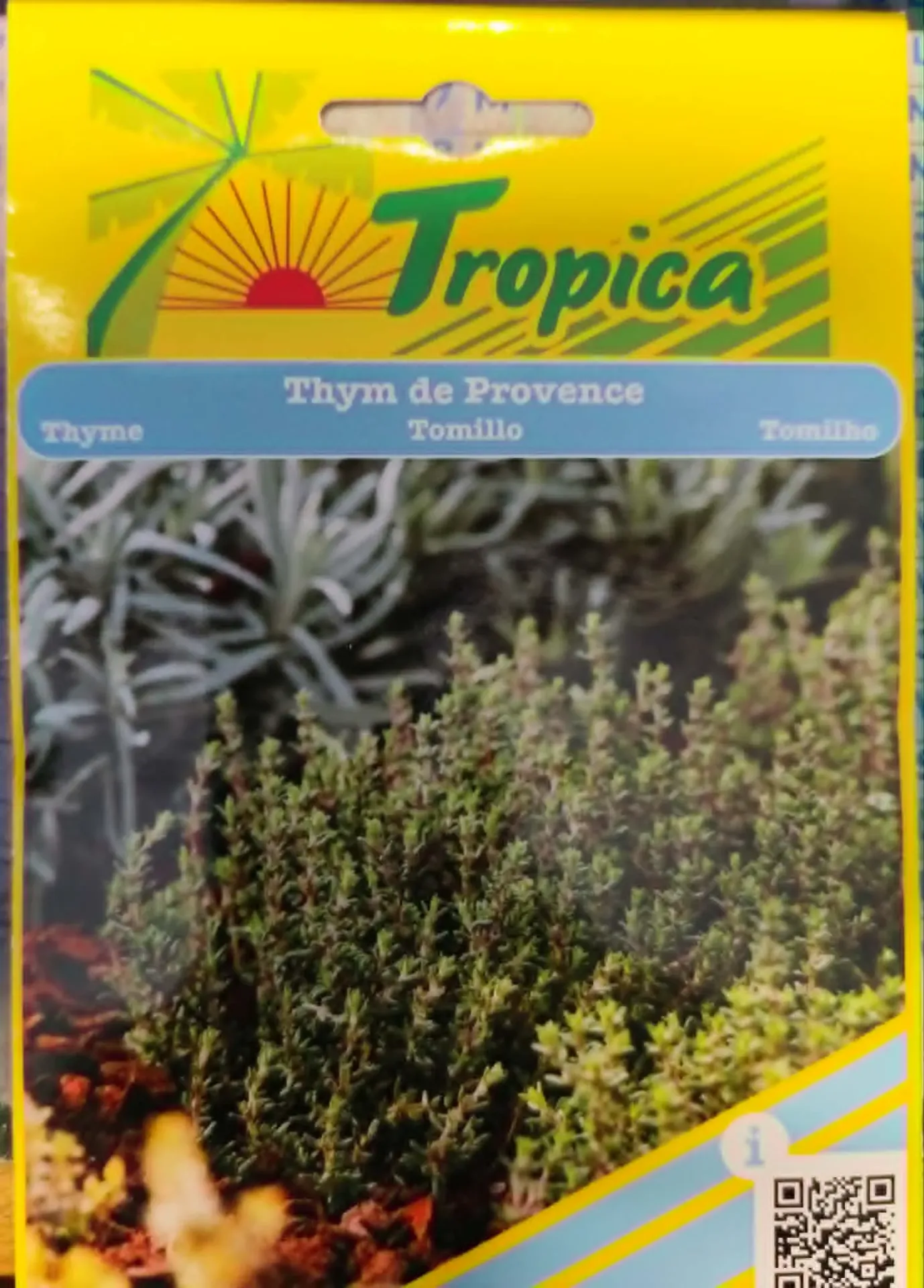 [[SEM050]] SEMENCES THYM THYM DE PROVENCE