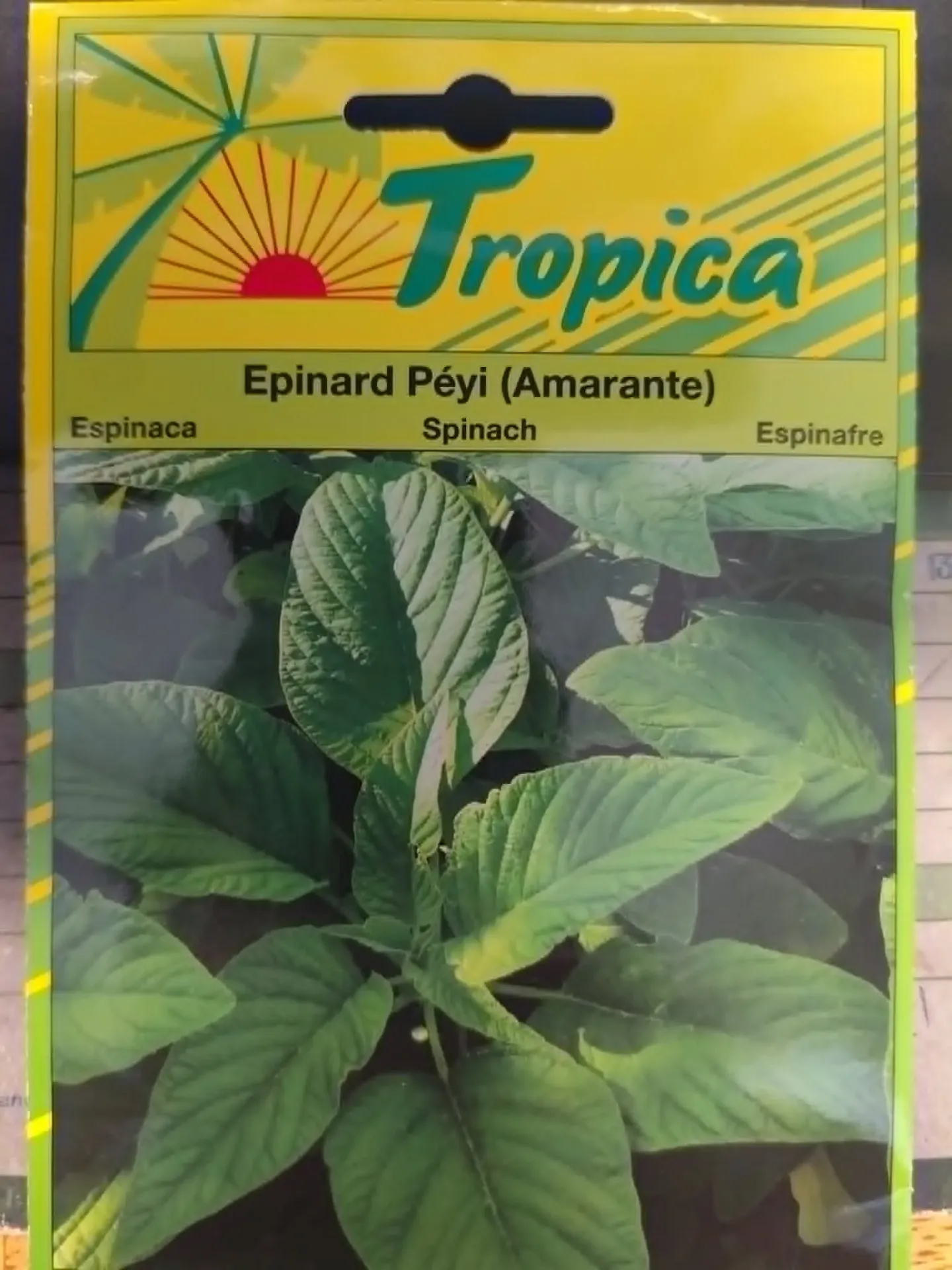 SEMENCES EPINARD PEYI