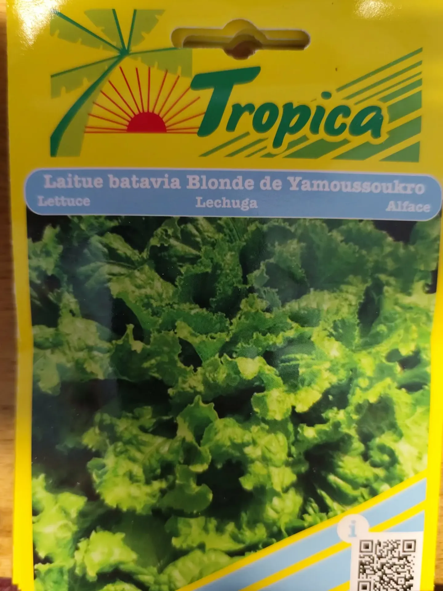 [[SEM 094]] SEMENCES LAITUE BATAVIA BLONDE DE YAMOSSOUKRO