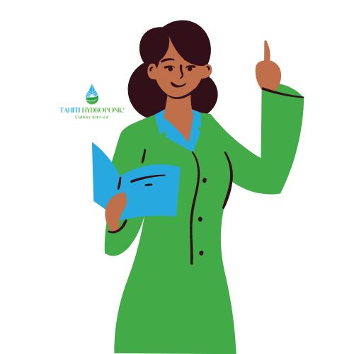 Initiation à l'hydroponie