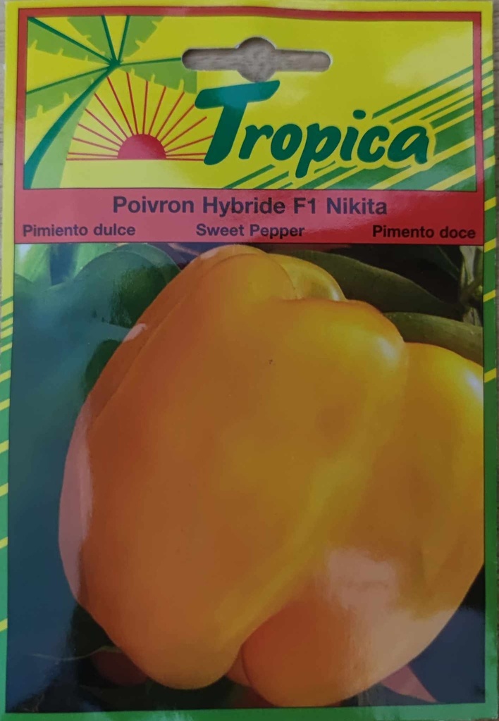 [[SEM 045]] SEMENCES POIVRON HYBRIDE F1 NIKITA