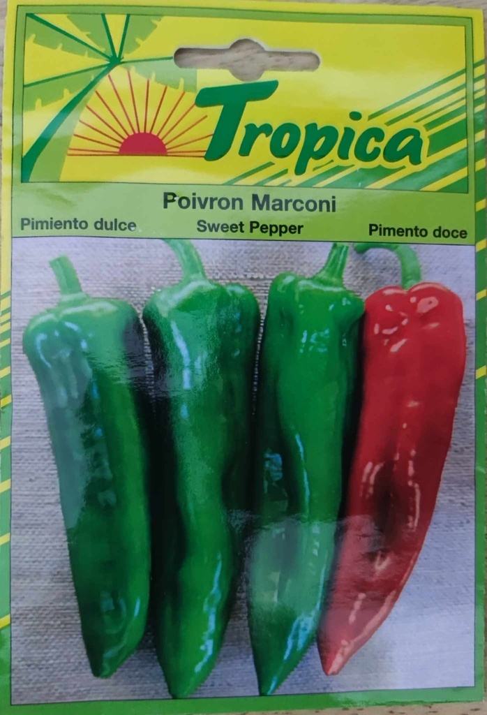 [[SEM 100]] SEMENCES POIVRON MARCONI