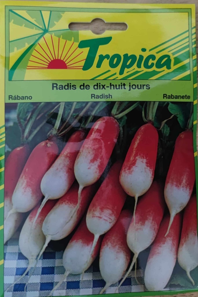 [SEM 074] SEMENCES RADIS DE DIX-HUIT JOURS