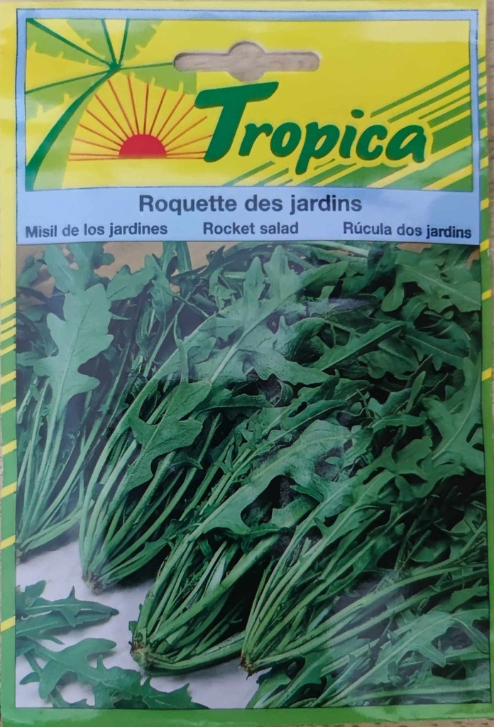 [SEM 048] SEMENCES ROQUETTE CULTIVEE DES JARDINS
