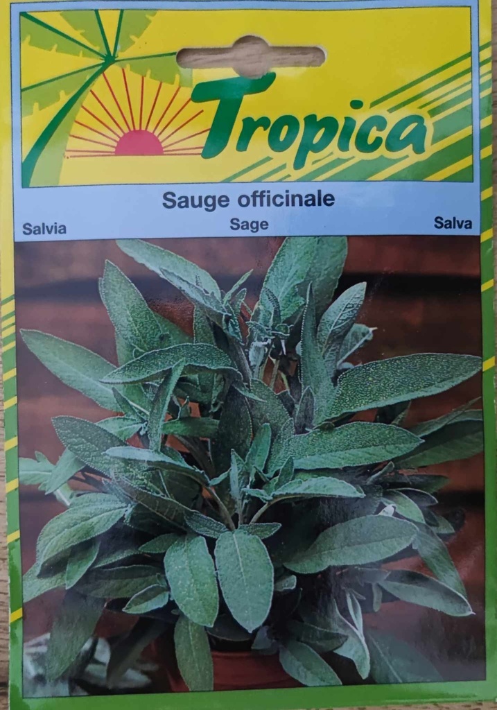 [[SEM 049]] SEMENCES SAUGE OFFICINALE