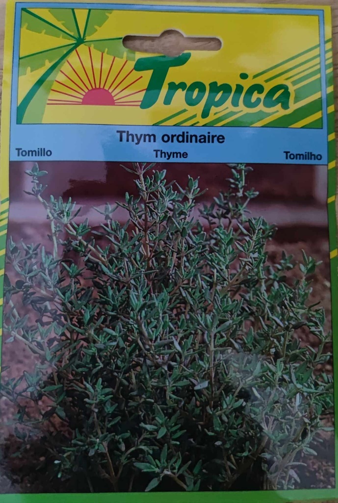 [[SEM051]] SEMENCES THYM ORDINAIRE