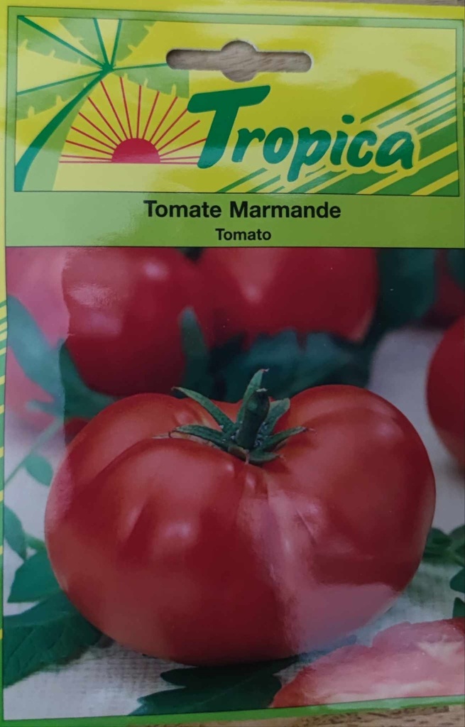 [SEM 103] SEMENCES TOMATE MARMANDE