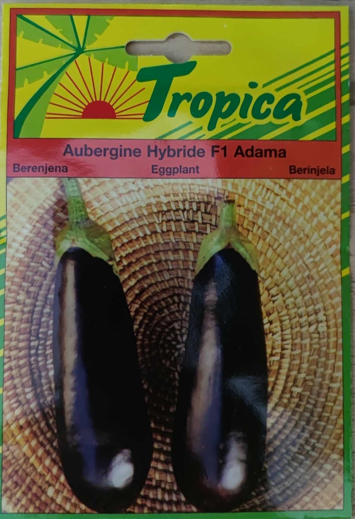 [[SEM 002]] SEMENCES AUBERGINE HYBRIDE F1 ADAMA