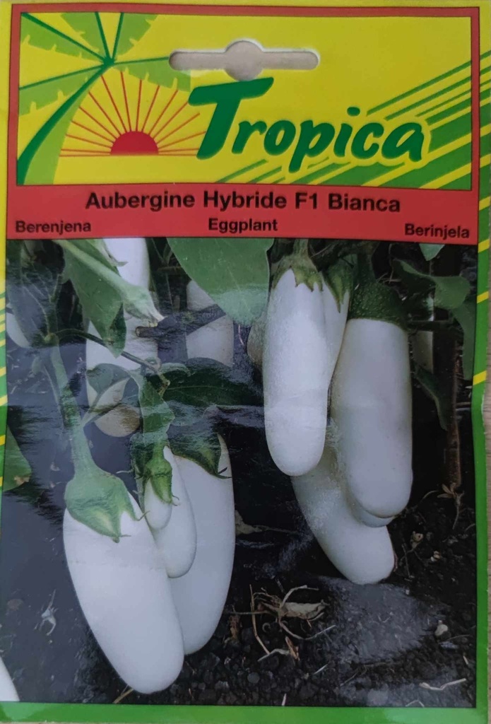 [[SEM 108]] SEMENCES AUBERGINE HYBRIDE F1 BIANCA