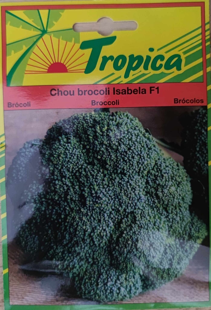[[SEM 065]] SEMENCES CHOU BROCOLI HYBRIDE F1 ISABELA