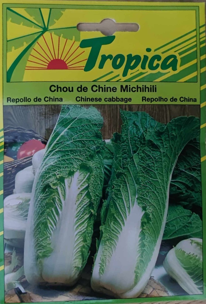 SEMENCES CHOU DE CHINE MICHICHILI