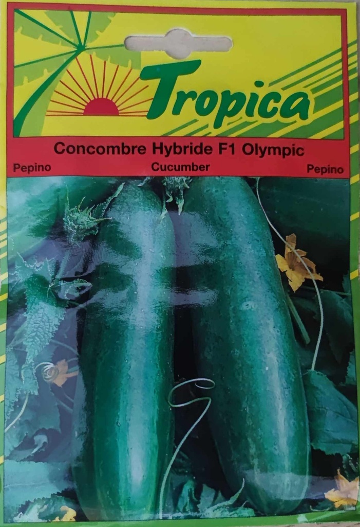 [[SEM 091]] SEMENCES CONCOMBRE HYBRIDE F1 OLYMPIC